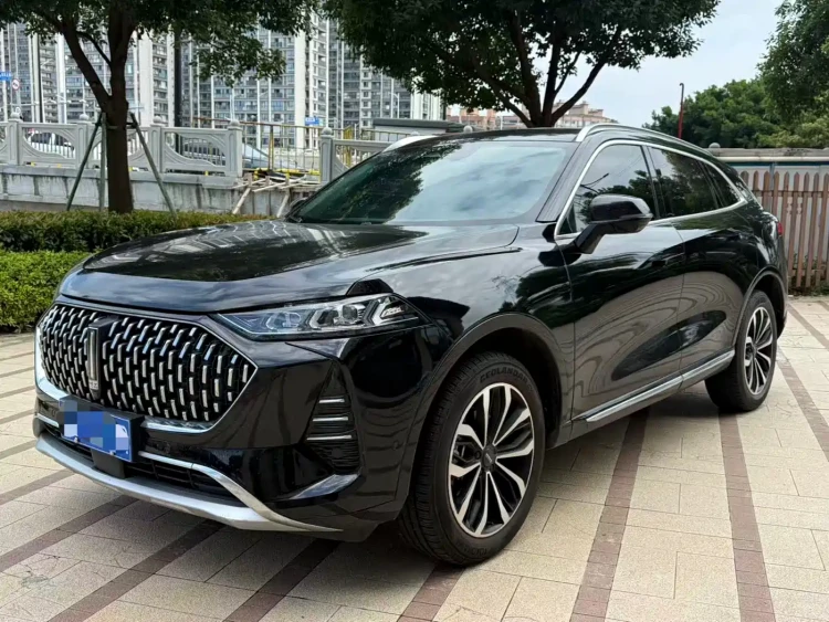 WEY Mocha 2021 2.0T 2WD Premium Edition