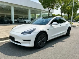 Tesla Model 3 2020 Standard Range Rear-Wheel Drive Upgrade