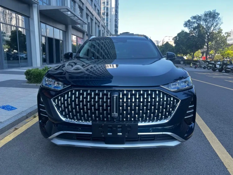 WEY Mocha 2021 2.0T 4WD Premium Edition
