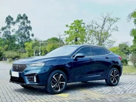 WEY Wei VV7 GT 2020 2.0T Flagship