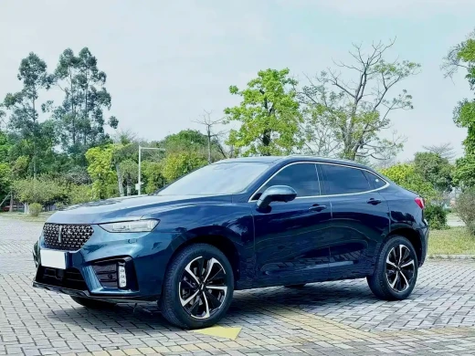 WEY Wei VV7 GT 2020 2.0T Flagship