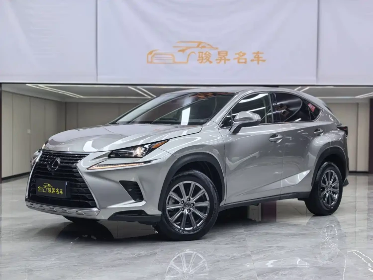 Lexus NX 2018 Model 300 FWD Fengxing Edition