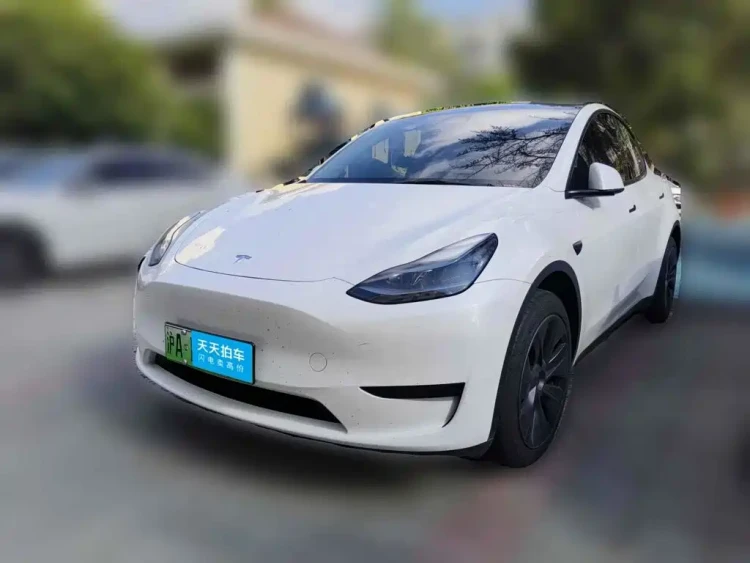 Tesla Model Y 2024 Rear-Wheel Drive Version