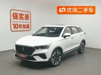 Besturn Bestune T77 2021.06 76300 км