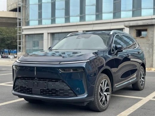 WEY Latte DHT-PHEV 2022 1.5T AWD Super Large Edition