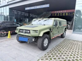 Dongfeng Mengshi M50 2022 4.0T Manual Nixingzhe 500 Low Roof Van