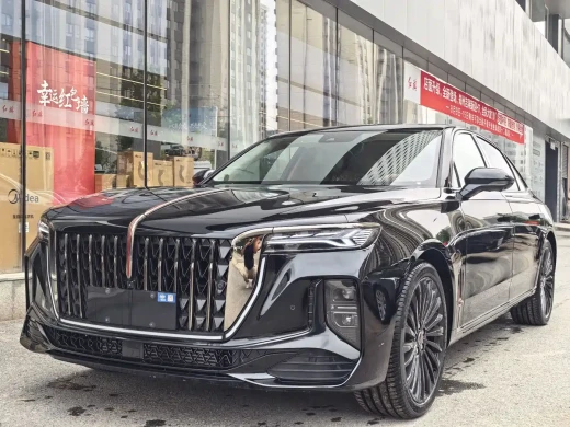 Hongqi H9 2025 2.0T 2WD Qixiang Private Style Edition 5-seater