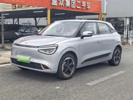 Dongfeng Yipai Nano 01 2024 Renewal Edition 430 Plus Smart+