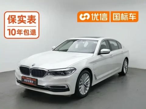 BMW 5 Series New Energy 2019 Facelift 530Le Luxury Package
