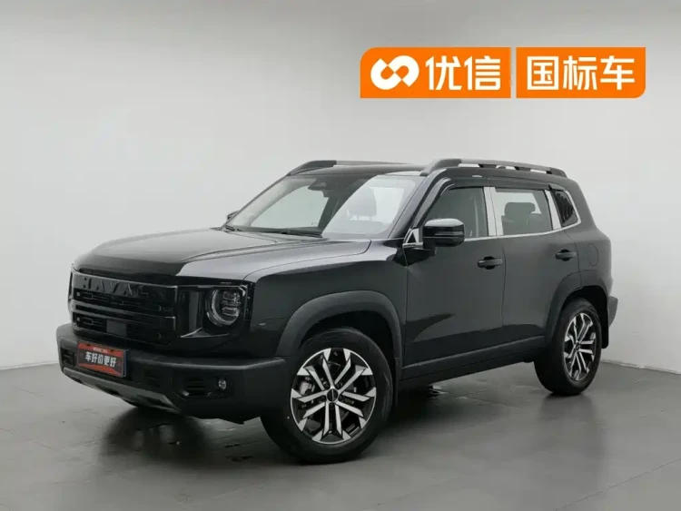 Haval Big Dog 2024 1.5T DCT Border Collie Edition