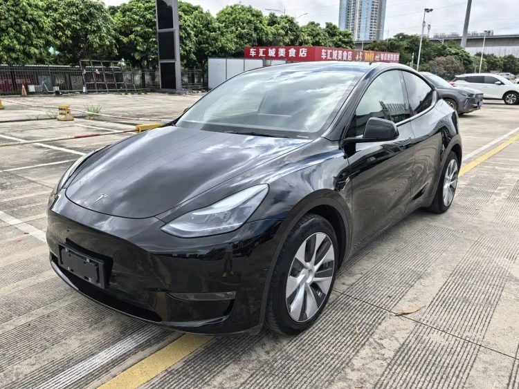 Tesla Model Y 2021 Standard Range Rear-Wheel Drive