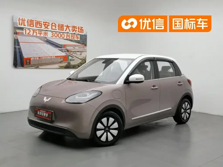 Wuling Motors Wuling Bingo 2023 Model 333km Joy+ Version