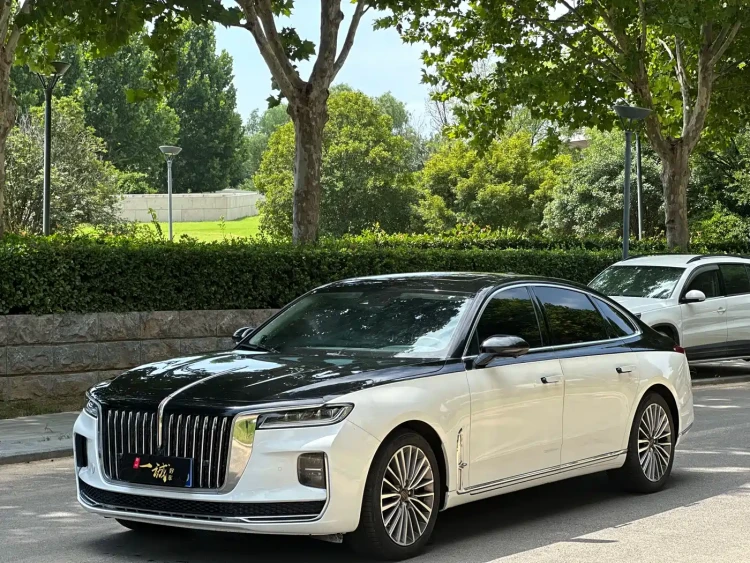 Hongqi H9 2020 2.0T Smart Connection Qi Xiang Edition