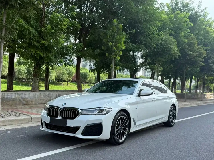 BMW 5 Series 2020 525Li Luxury Package