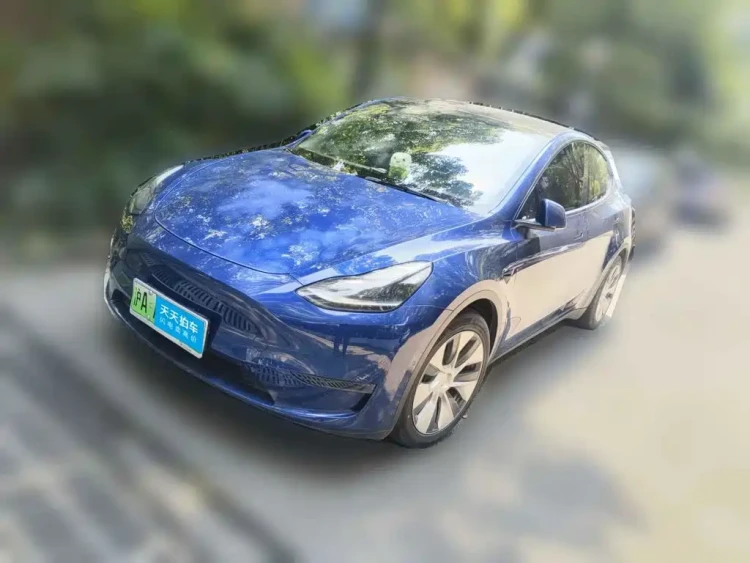 Tesla Model Y 2021 Standard Range Rear-Wheel Drive