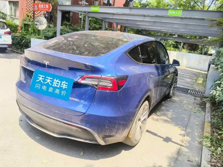 Tesla Model Y 2021 Standard Range Rear-Wheel Drive