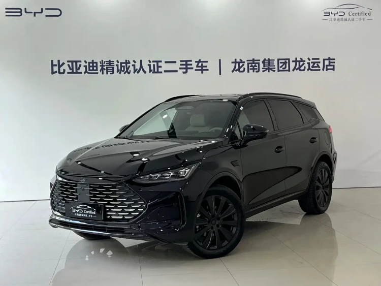 BYD Tang New Energy 2026 DM-i 115KM Premium