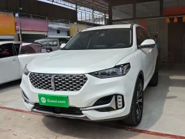 WEY VV6 2021 2.0T 2WD Child Care Edition