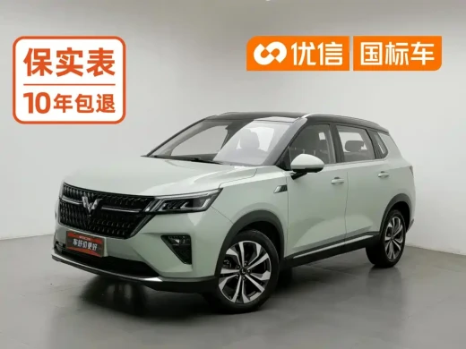 Wuling Motors Wuling Xingchen 2021 1.5T CVT Stellar Edition