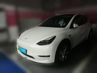 Tesla Model Y 2022 Rear-Wheel Drive Version