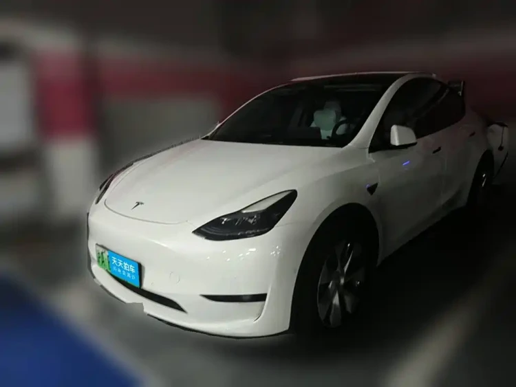 Tesla Model Y 2022 Rear-Wheel Drive Version