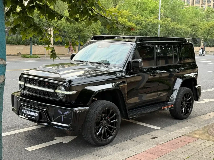 Crossboundary Auto Co-created Tank 300 2023 2.0T Cyber Knight