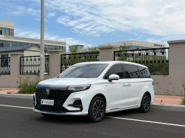 Roewe iMAX8 2021 400TGI Supreme Series Honor