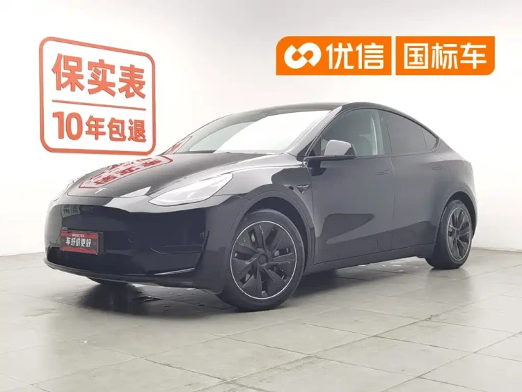 Tesla Model Y 2022 Rear-Wheel Drive Version
