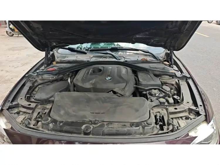 BMW 3 Series 2017 320Li Fashion