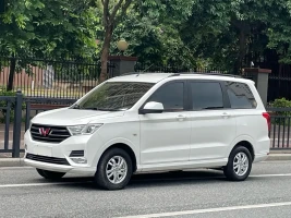 Wuling Motors Wuling Hongguang 2019 1.5L S Comfort China VI LAR