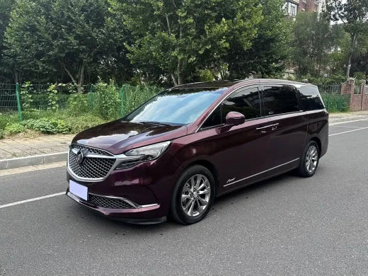 Buick GL8 2020 Avenir Six-Seat Elegance Edition