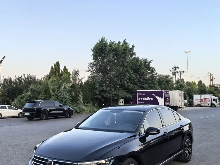 Volkswagen Magotan 2021 330TSI DSG 30th Anniversary Edition