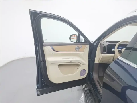 AITO Wenjie AITO M9 2025.03 12100 км