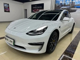 Tesla Model 3 2020 Facelift Standard Range RWD Upgrade