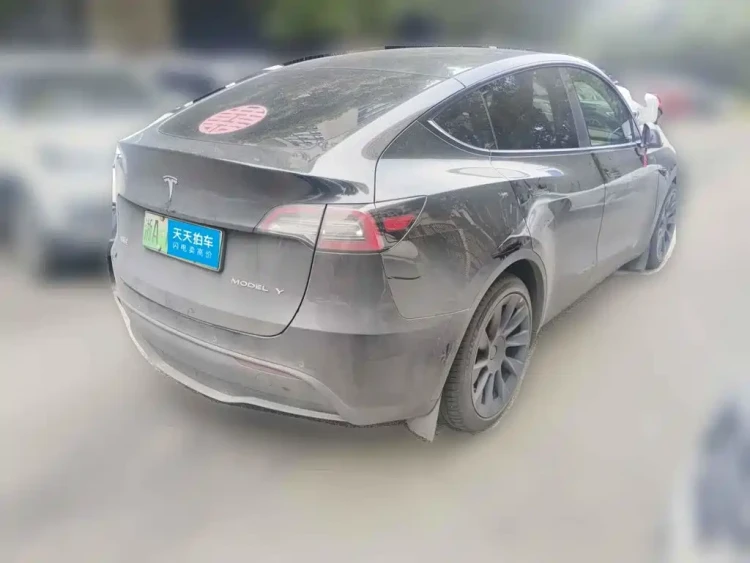 Tesla Model Y 2022 Rear-Wheel Drive Version