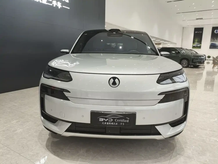 Denza N9 2025 Flagship Model