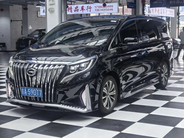 GAC Trumpchi Trumpchi M8 2020 Master Edition 390T Premium