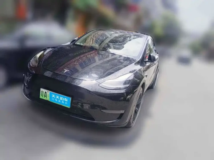 Tesla Model Y 2021 Standard Range Rear-Wheel Drive