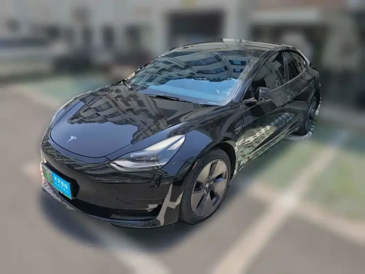 Tesla Model 3 2021 Facelift Standard Range RWD Upgrade 3D1