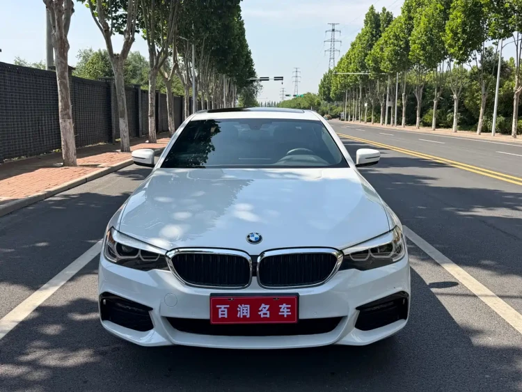 BMW 5 Series 2019 530Li Leading M Sport Package