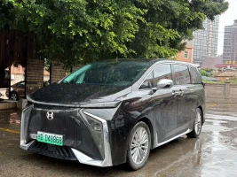 Hycan Auto Hycan V09 2023 Honor Edition 762