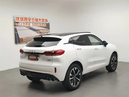 WEY VV5 2019 Upgrade 2.0T 2WD Ultra Luxury China V