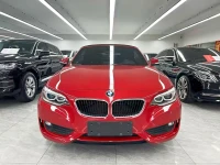 BMW 2 Series (Import) 2015 220i Convertible Coupe Leading