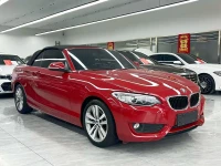 BMW 2 Series (Import) 2015 220i Convertible Coupe Leading