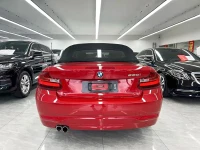 BMW 2 Series (Import) 2015 220i Convertible Coupe Leading