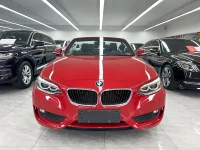 BMW 2 Series (Import) 2015 220i Convertible Coupe Leading