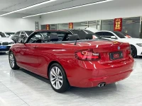 BMW 2 Series (Import) 2015 220i Convertible Coupe Leading