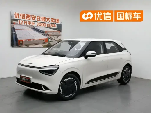 Dongfeng Yipai Nano 01 2024 430 Plus