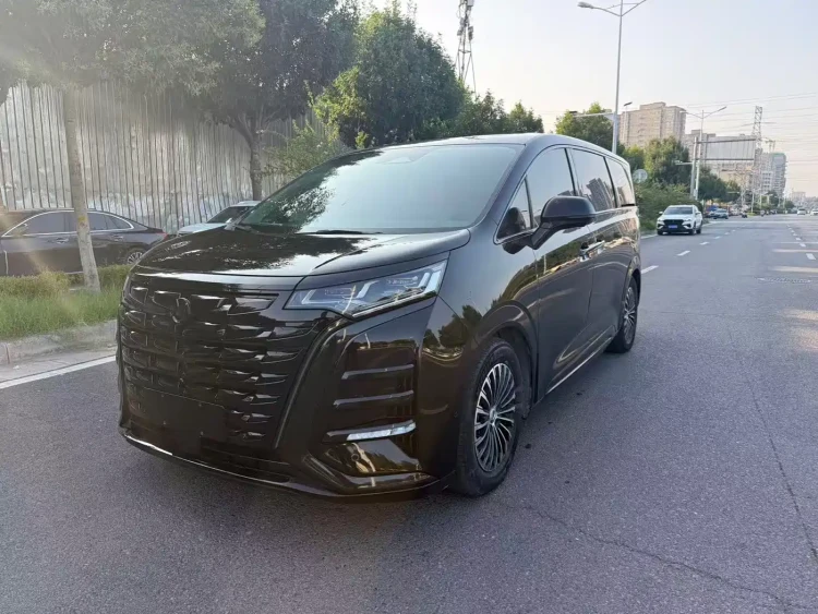 Denza D9 2024 DM-i 980 AWD Flagship
