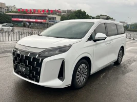 BYD M9 2025 Model 1060 Pilot Edition